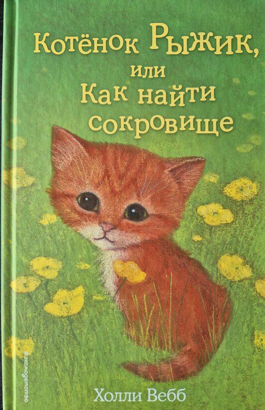 Котенок Рыжик, или Как найти сокровище. Холли Вебб