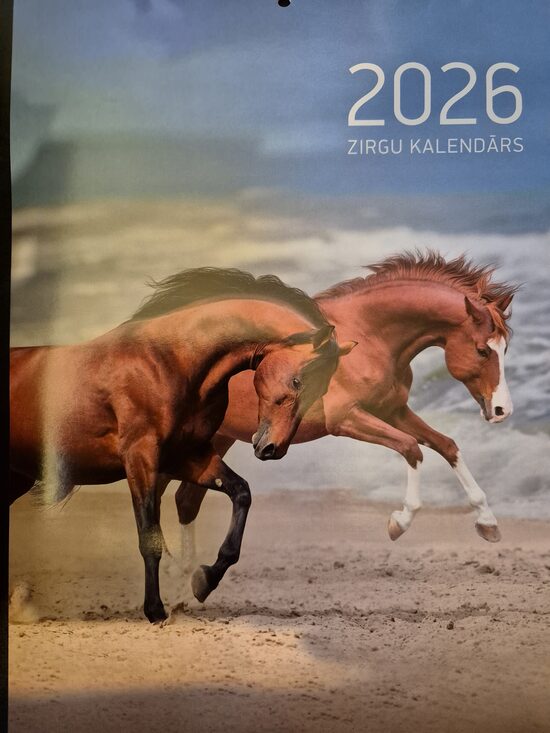 Лошади. Латвийский календарь 2026 год