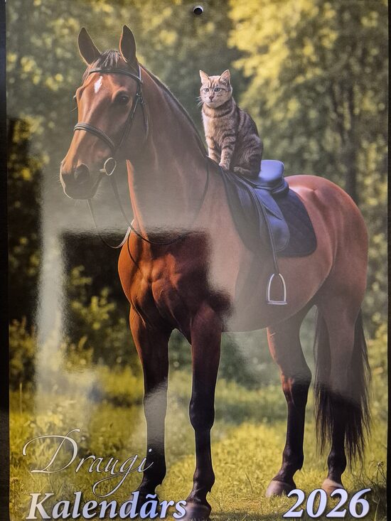 Друзья. Латвийский календарь 2026