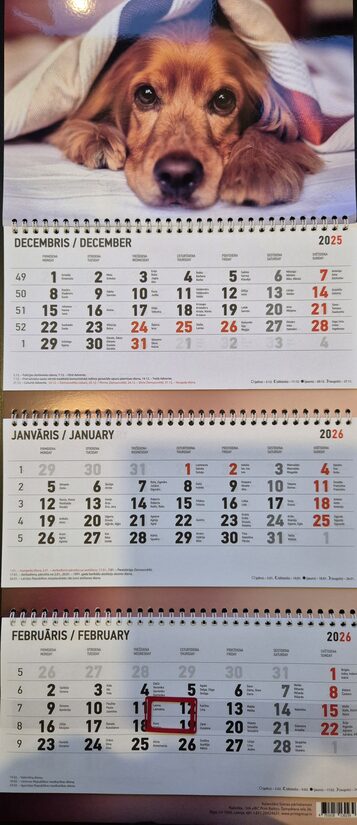 Собака. Вид 1. Трехблочный латвийский календарь с курсором на 2026 год