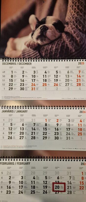 Бостон-терьер. Трехблочный латвийский календарь с курсором на 2026 год