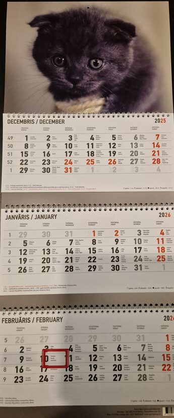Котенок. Вид 1. Трехблочный латвийский календарь с курсором на 2026 год