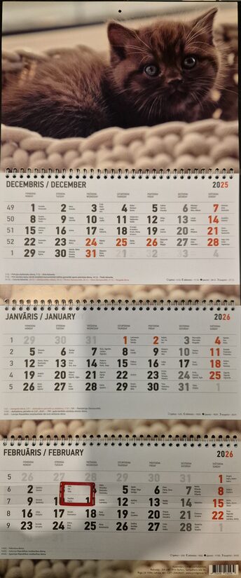 Котенок. Вид 2. Трехблочный латвийский календарь с курсором на 2026 год