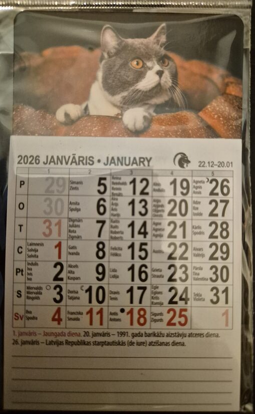 Календарь-магнит 2026. Кот