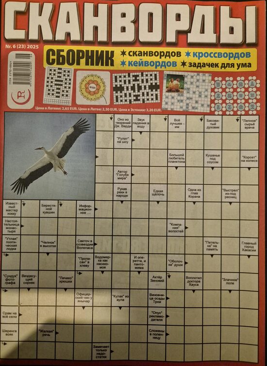 Сканворды. Сборник нр6 декабрь-январь 2025/2026гг