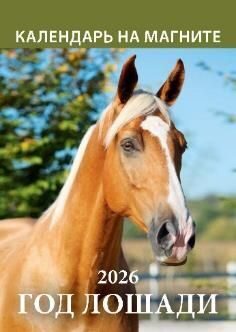 Календарь на магните отрывной. Год лошади 2026 