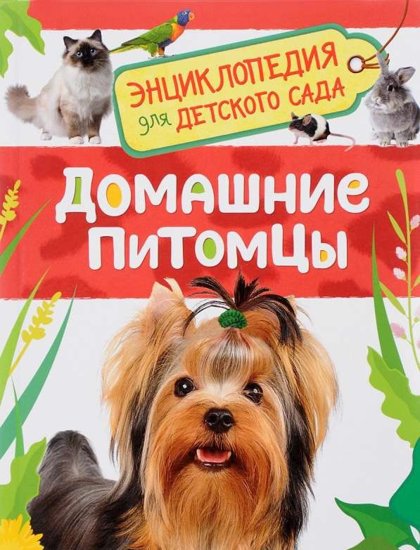 Домашние питомцы. Энциклопедия для детского сада.