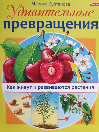 Удивительные превращения. Как живут и развиваются растения. Маленькому почемучке.
