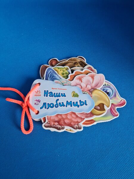 Наши любимцы. И.Солнышко