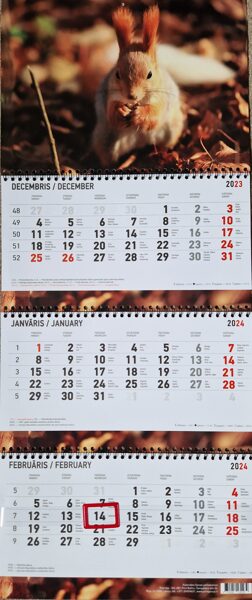 Белка. Трехблочный латвийский календарь с курсором на 2024 год