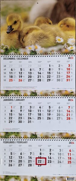 Птенцы. Трехблочный латвийский календарь с курсором на 2024 год
