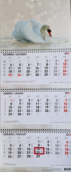 Лебедь. Трехблочный латвийский календарь с курсором на 2024 год