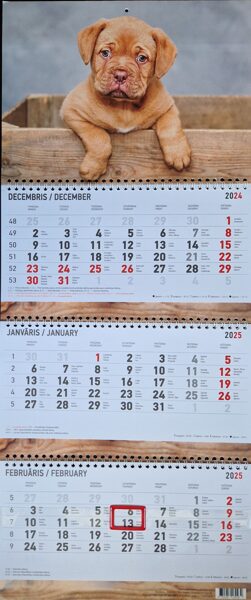 Щенок. Трехблочный латвийский календарь с курсором на 2025 год