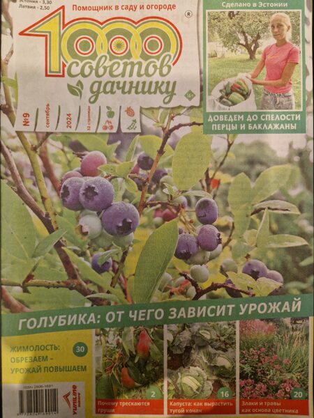 1000 советов дачнику. Нр9 2024г