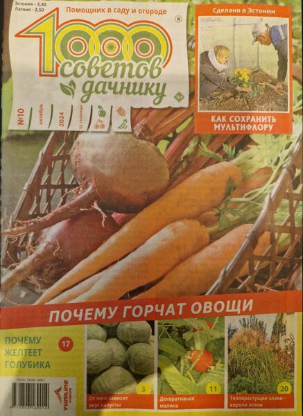 1000 советов дачнику. Нр10 2024г