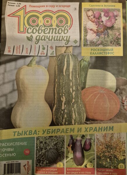 1000 советов дачнику. Нр11 2024г
