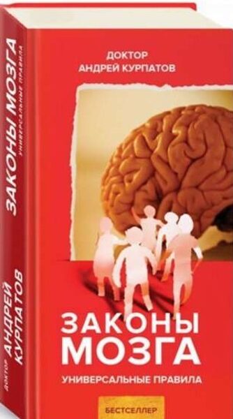 Законы мозга Андрей Курпатов